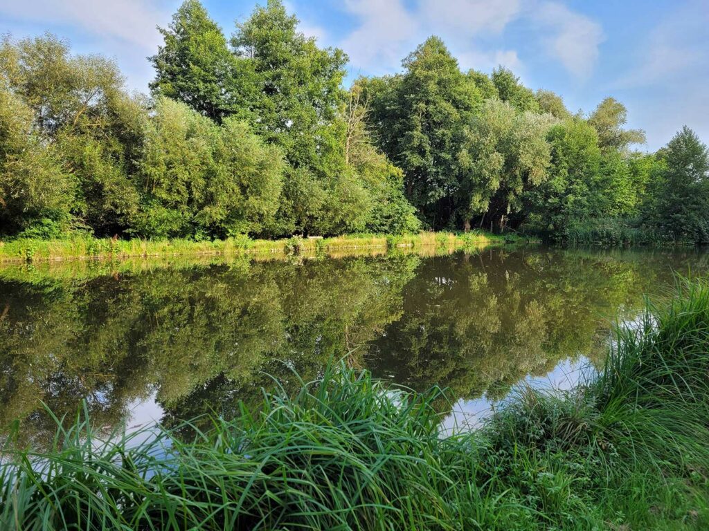 Höffgen Teiche (Bienenbüttel) Lüneburger Angelsportverein e.V.
