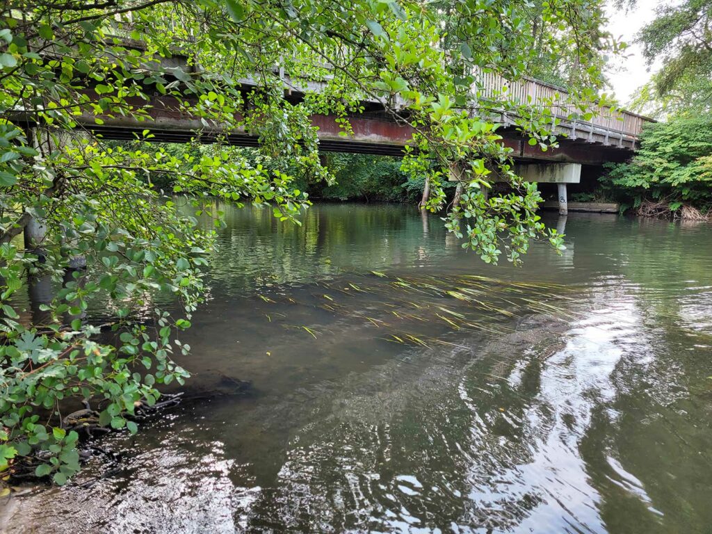 Ilmenau Stadtstrecke 27.08.2022 vom Lüneburger Angelsportverein e.V.