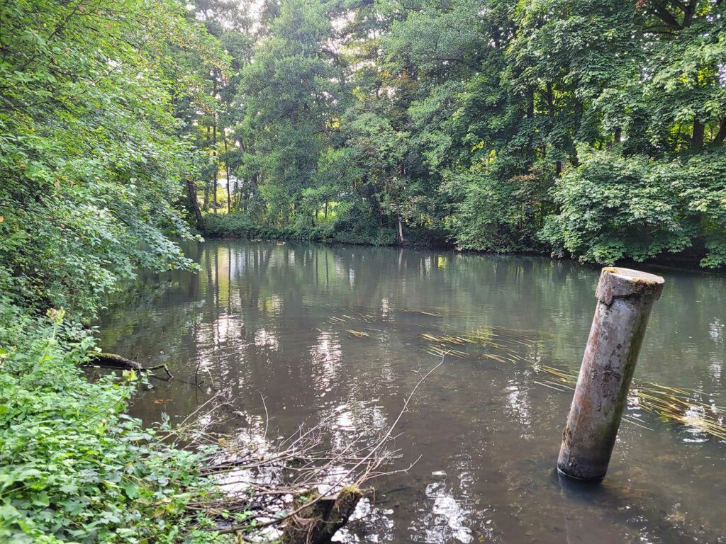 Ilmenau Stadtstrecke 27.08.2022 vom Lüneburger Angelsportverein e.V.