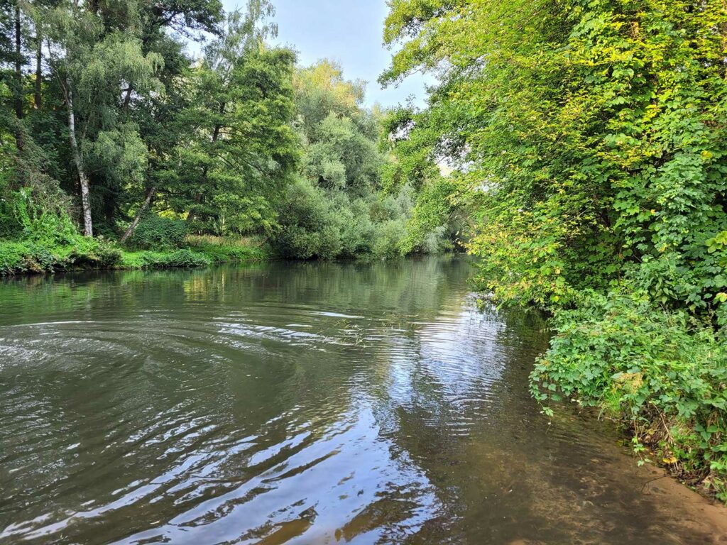 Ilmenau Stadtstrecke 27.08.2022 vom Lüneburger Angelsportverein e.V.