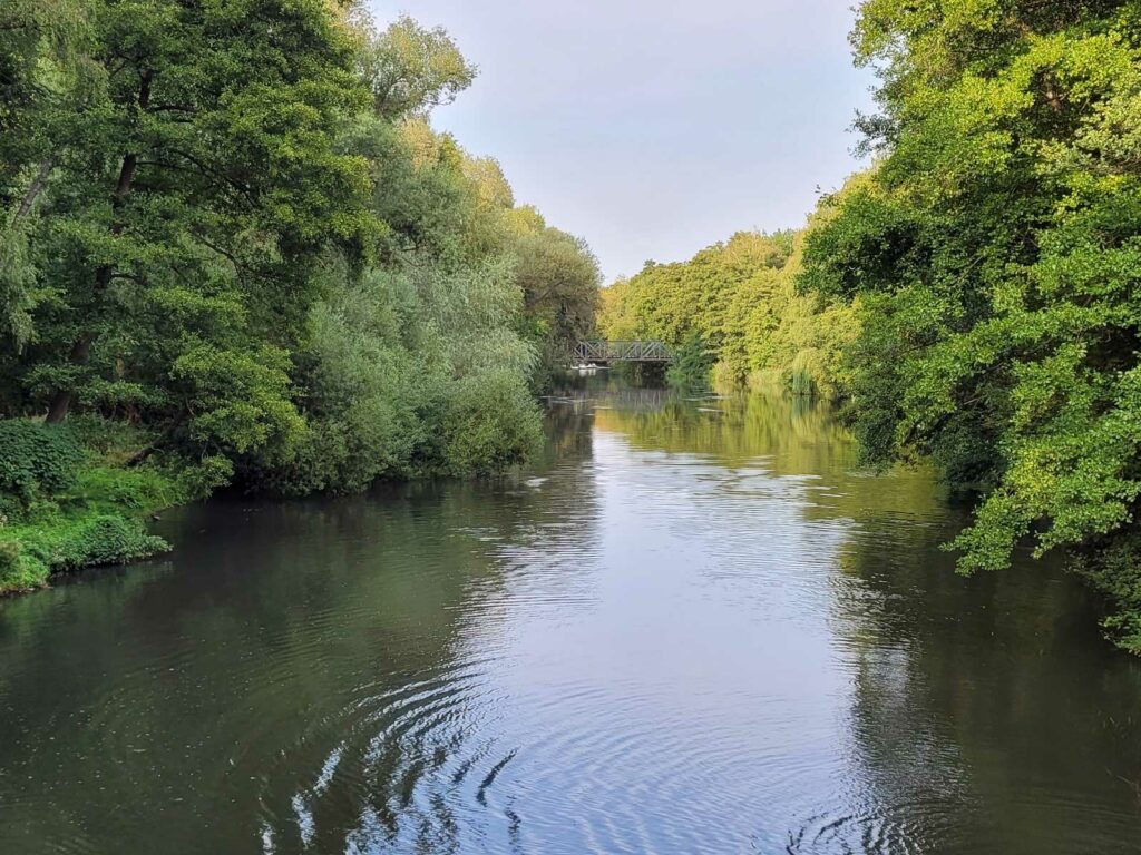Ilmenau Stadtstrecke 27.08.2022 vom Lüneburger Angelsportverein e.V.