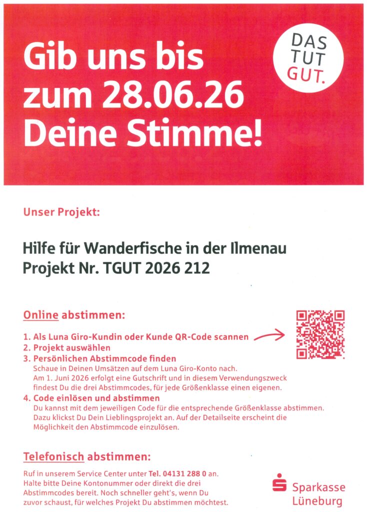 Hilfe für Wanderfische in der Ilmenau Projekt Nr. TGUT 2026 212